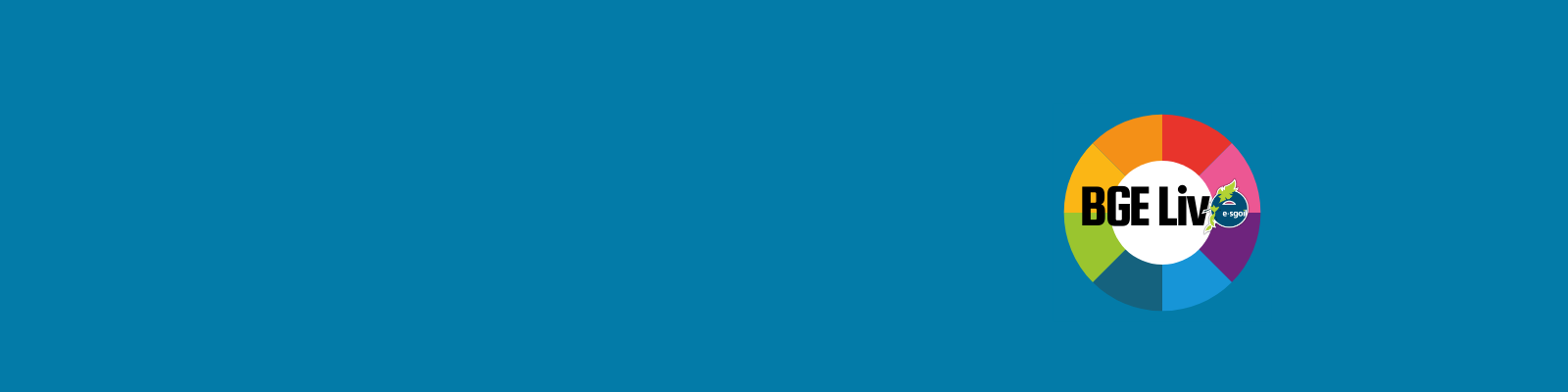 Esgoil Logo Background Image